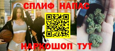 гашик Славянск-на-Кубани
