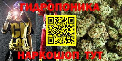молекула духа Сланцы