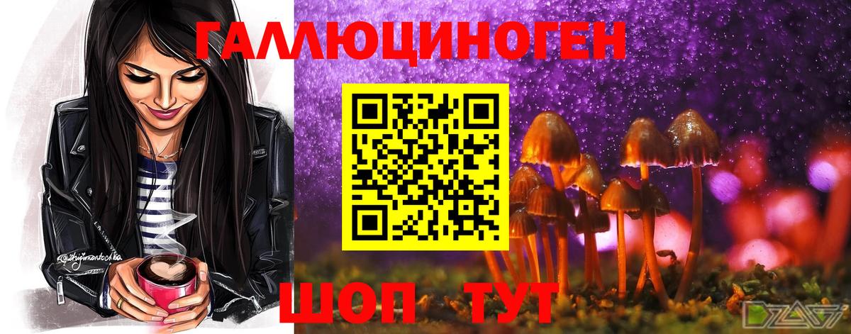 Галлюциногенные грибы GOLDEN TEACHER  Псилоцибиновые грибы Psilocybe  Белая Калитва  Вход с VPN 
