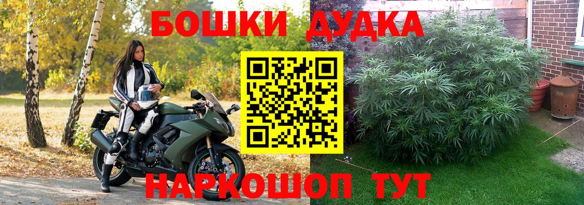Канабис сатива  Конопля Ganja  Вход с VPN  Белая Калитва  Канабис конопля 